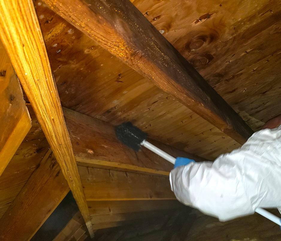 Attic mold remediation and ventilation correction in Ohio attic
