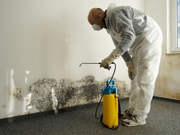 Mold remediation project in residential basement in Ohio