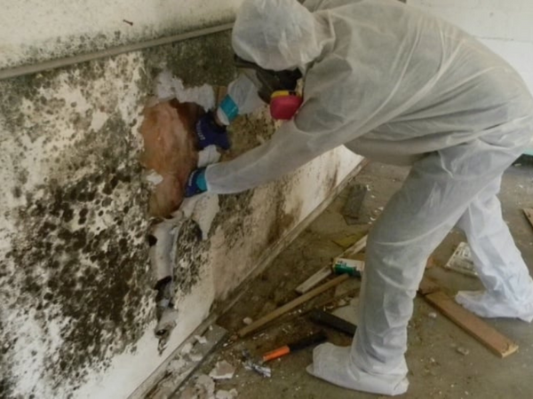 Mold remediation preparation image