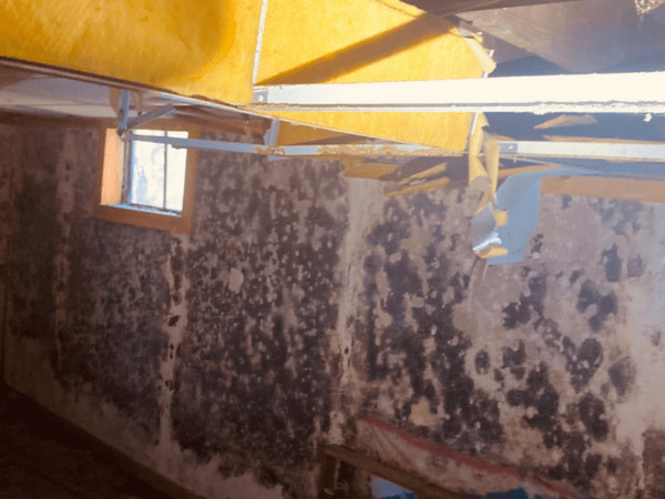 Professional mold testing and sampling service in Ohio home